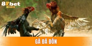 Đá gà đòn